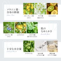 【単品購入】美白クリーム トラネキサム酸誘導体配合 ホワイトップEX 24g